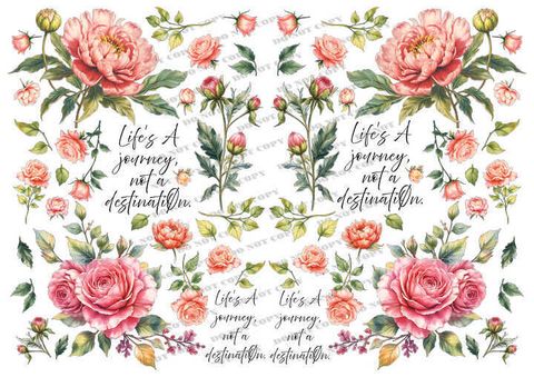 TF-花草0035-2_結果