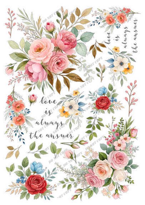 TF-花草0036-1_結果