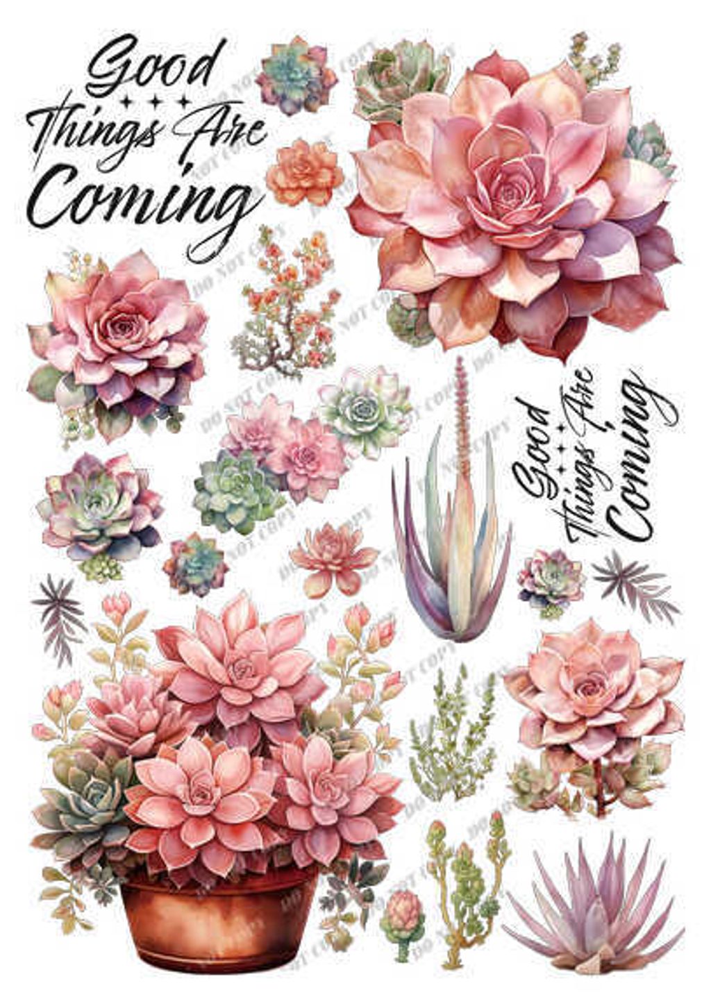 TF-花草0037-1_結果