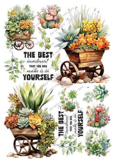 TF-花草0038-1_結果