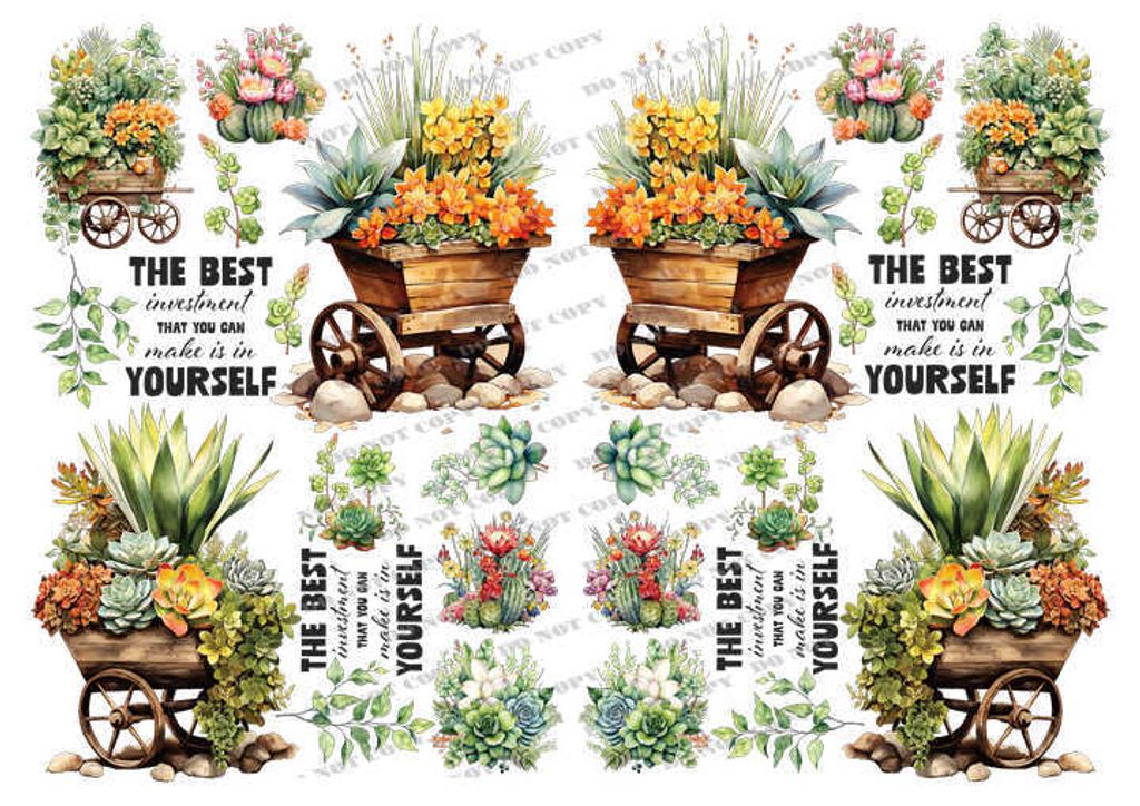 TF-花草0038-2_結果