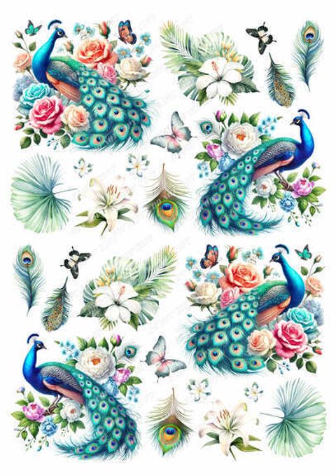 TF-花鳥蝴蝶0008-2_結果