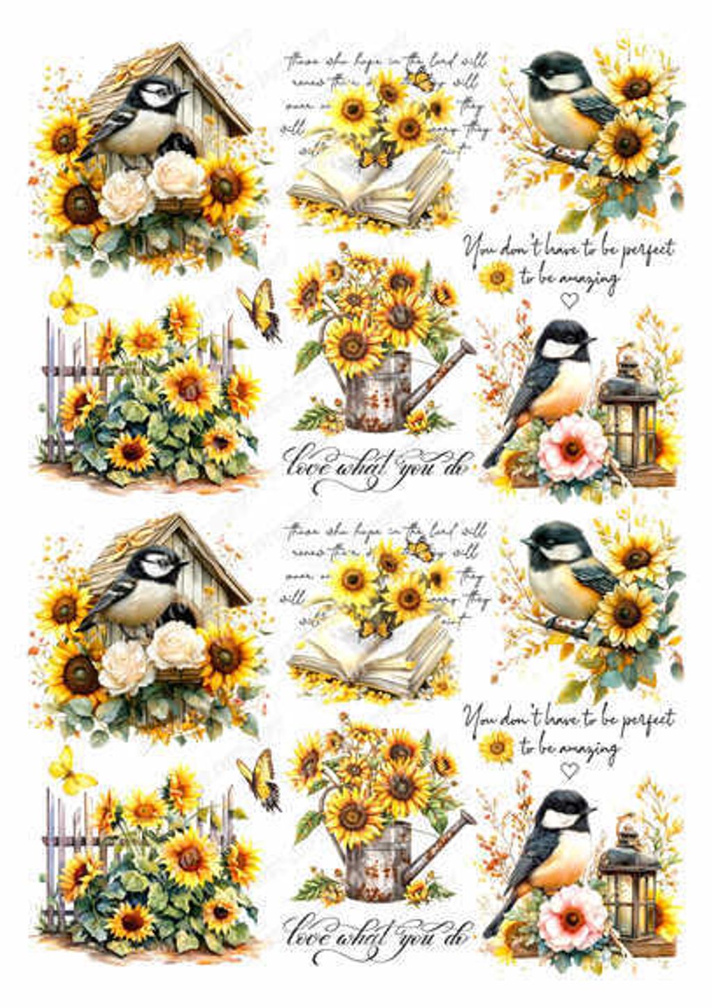 TF-花鳥蝴蝶0009-2_結果