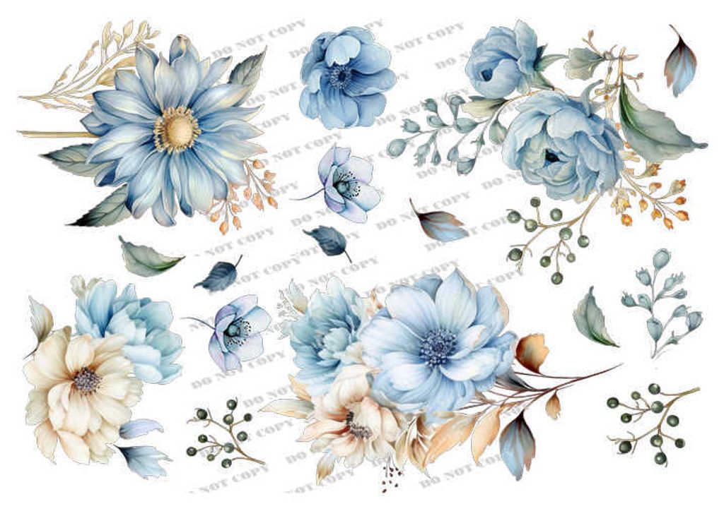 TF-花草0005-3_結果