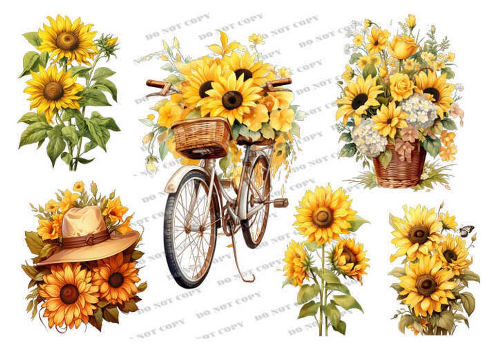 TF-花草0018_結果