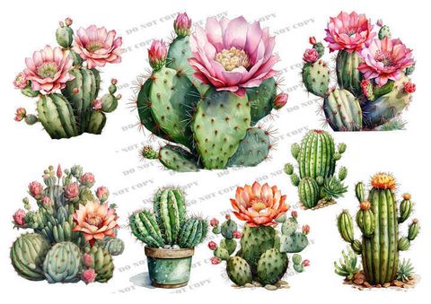 TF-花草0019_結果