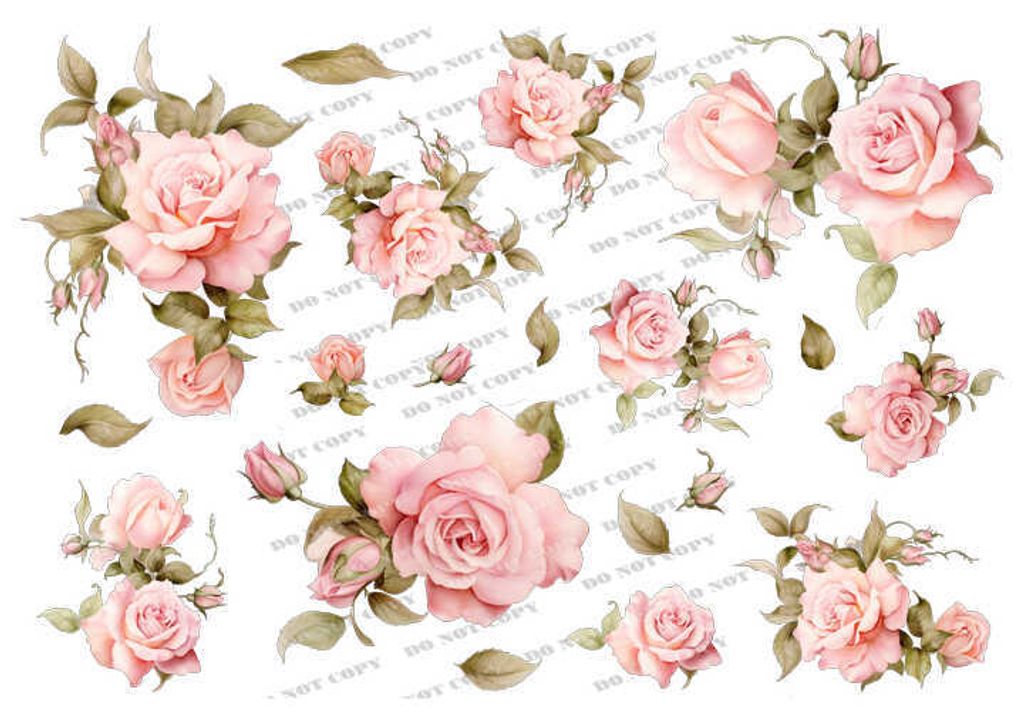 TF-花草0020_結果