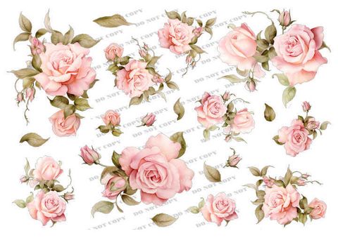 TF-花草0020_結果