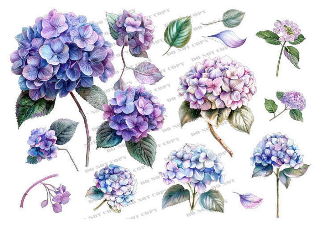 TF-花草0021_結果