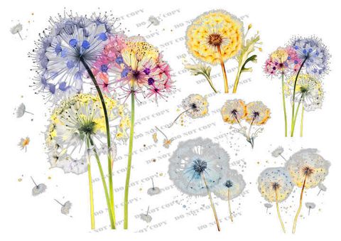 TF-花草0022_結果