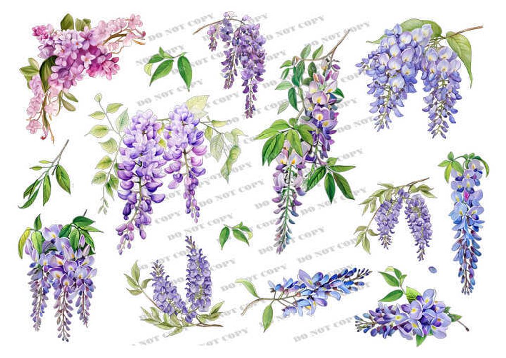 TF-花草0023_結果