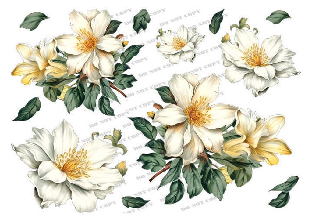 TF-花草0026_結果