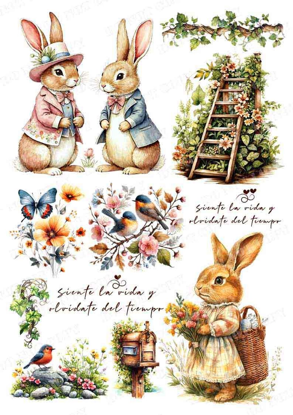 TF-可愛動物0030-1浮