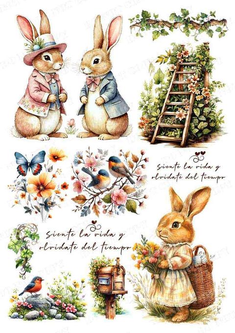 TF-可愛動物0030-1浮