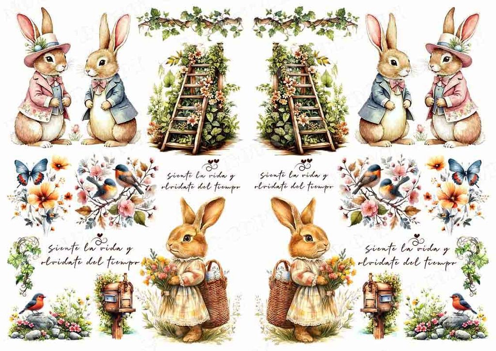 TF-可愛動物0030-2浮