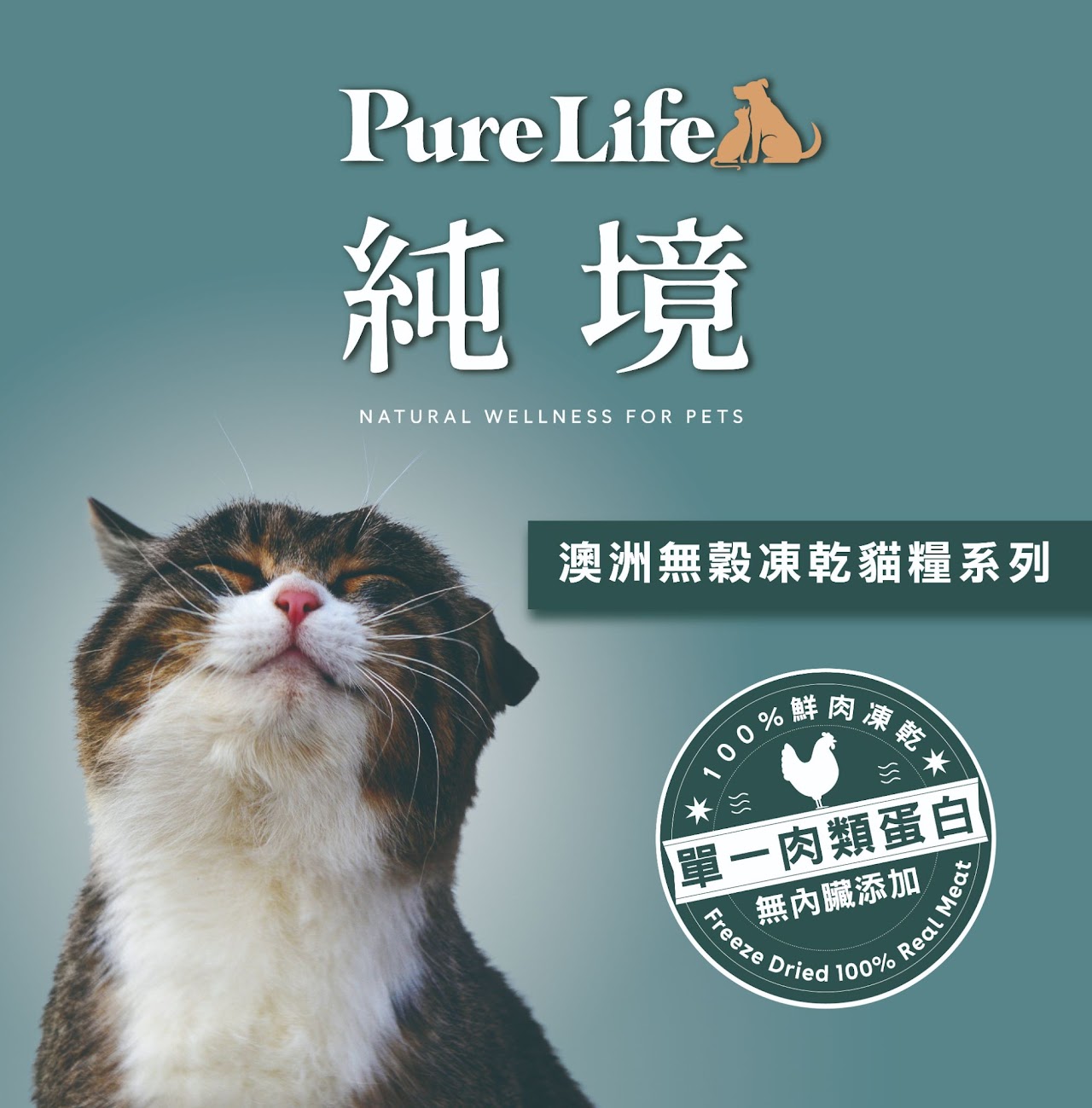 Pure Life 純境 -無穀幼母貓(澳洲雞肉-凍乾)_工作區域 1