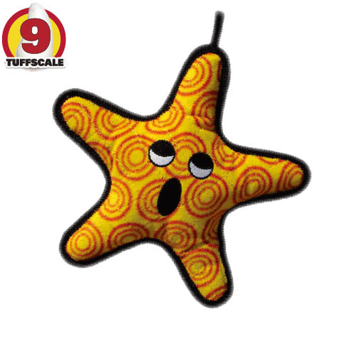 T-OC-Starfish-1