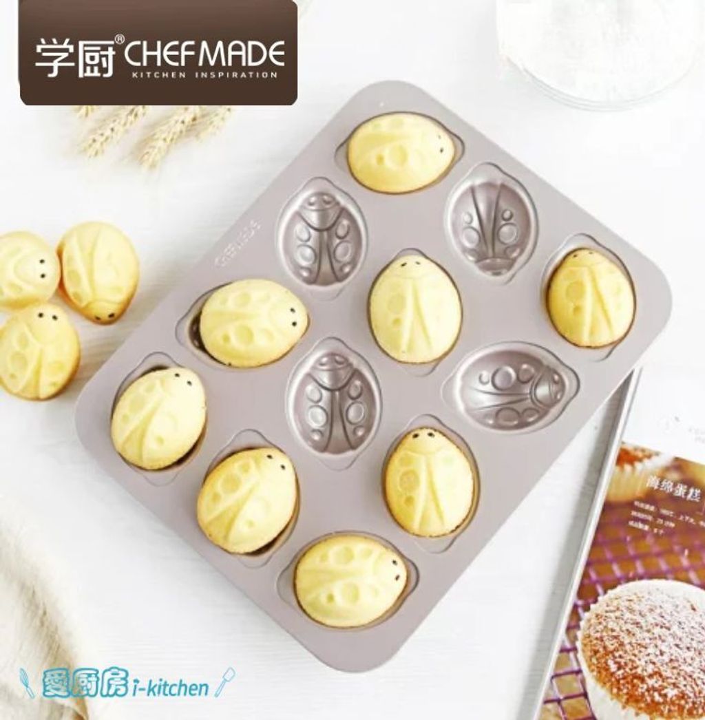 WK9809-12連瓢蟲模具 (3)