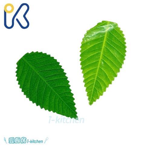 三本杉綠葉片 (1)