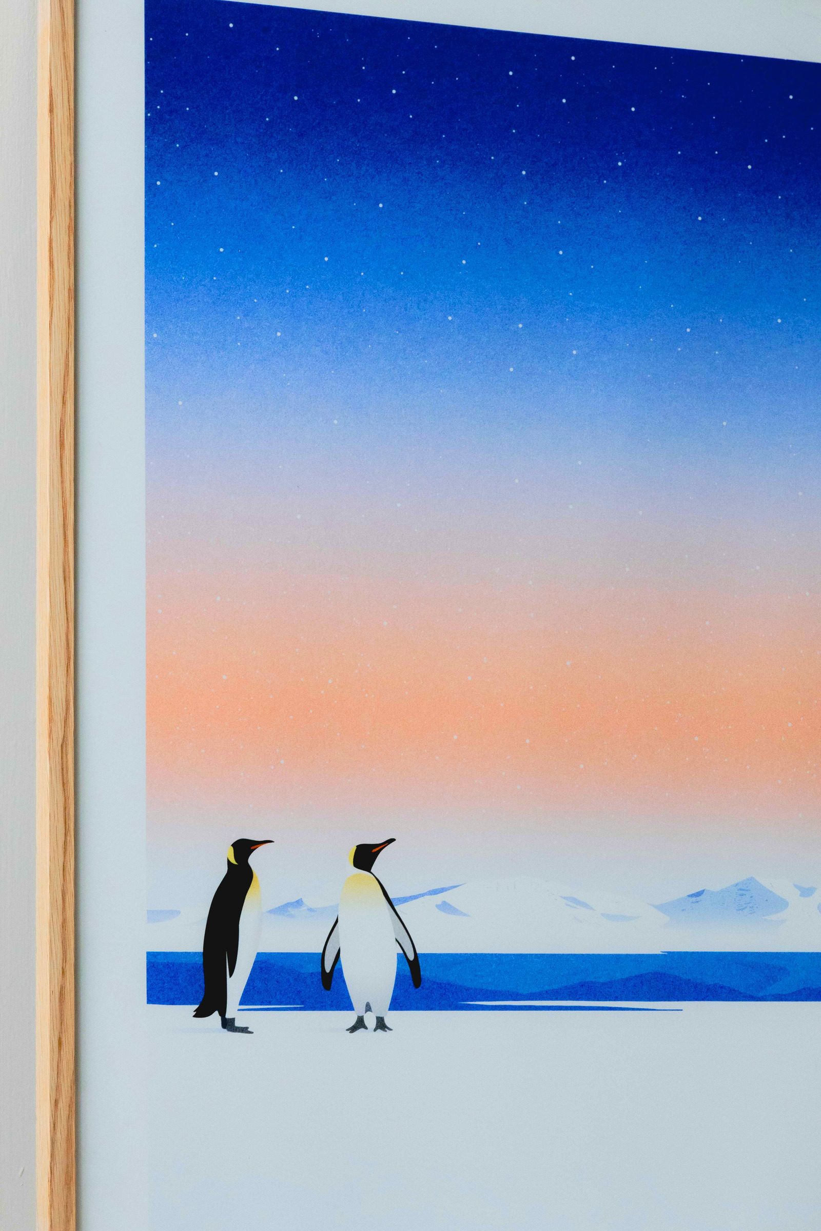 20241117柏辰bochenchou-2L3A3010 - 已編輯