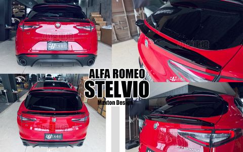 ALFE STELVIO MD 亮黑 尾翼 下尾翼