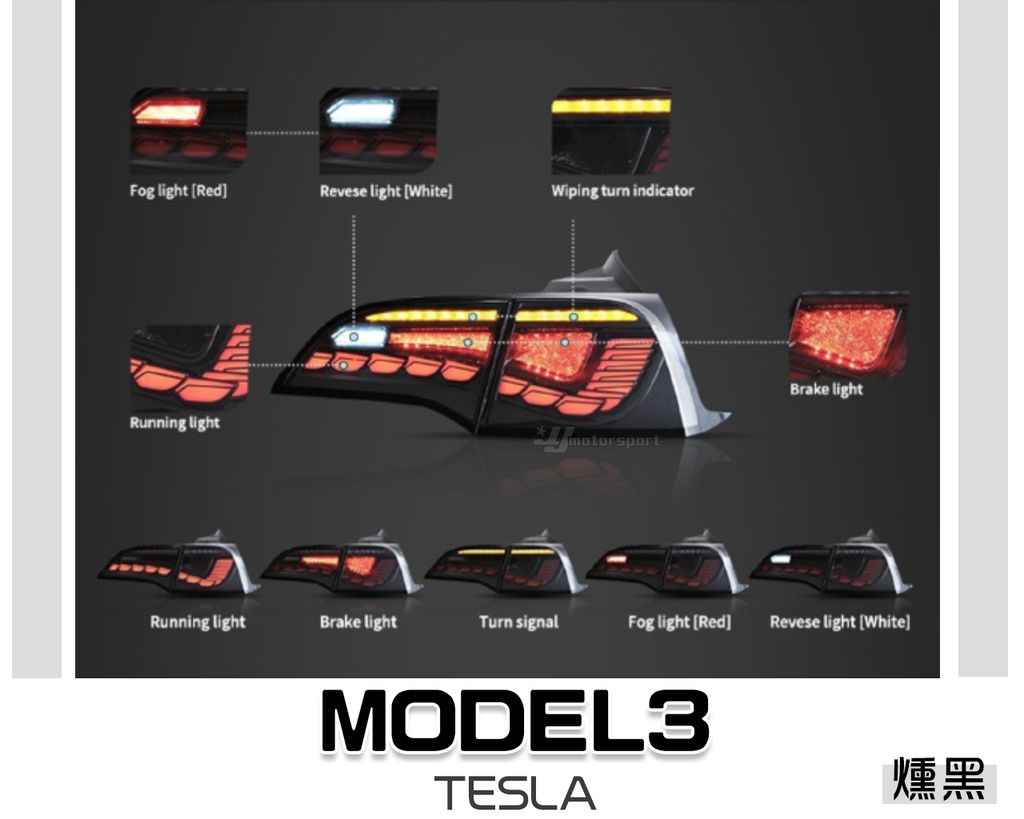 MODEL3 特斯拉 燻黑 龍麟款 尾燈-1