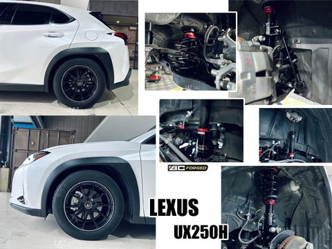 UX250H BC V1 避震器-1