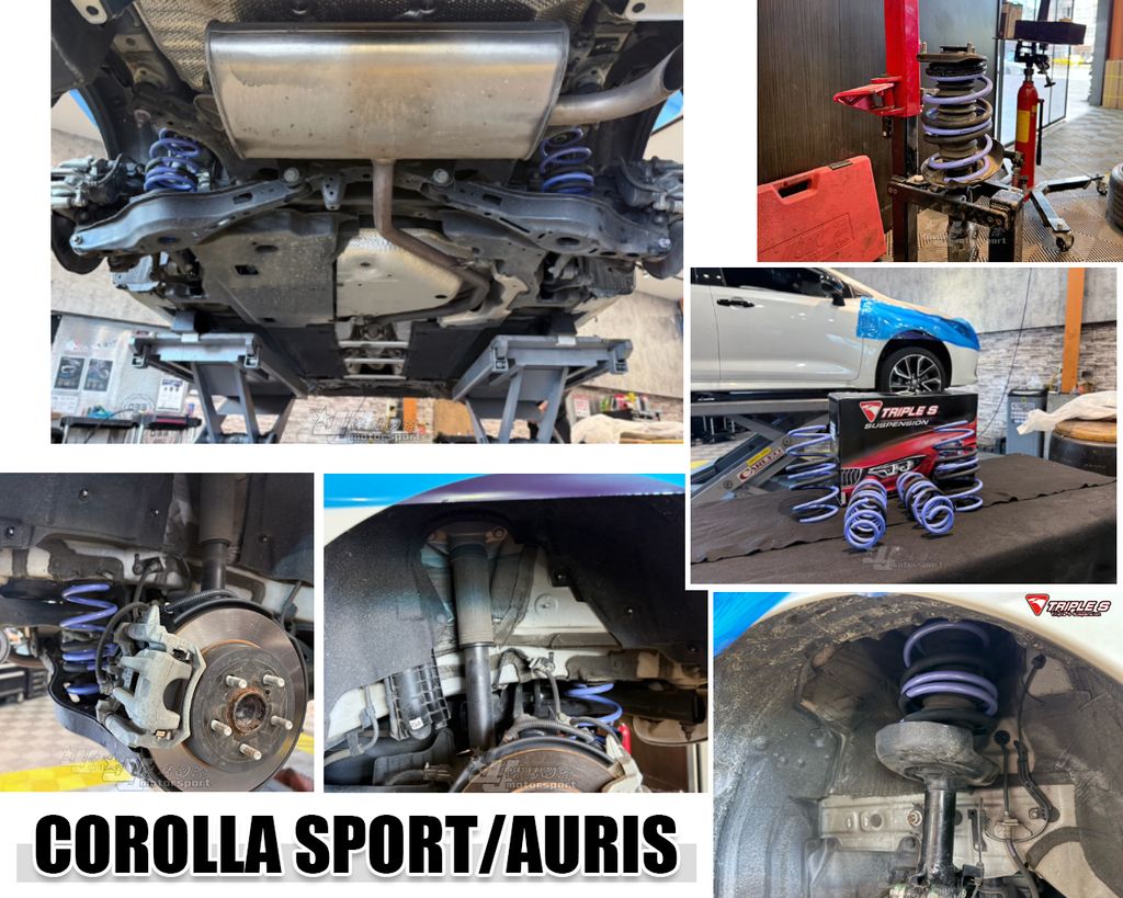 AURIS TS 短彈簧-2