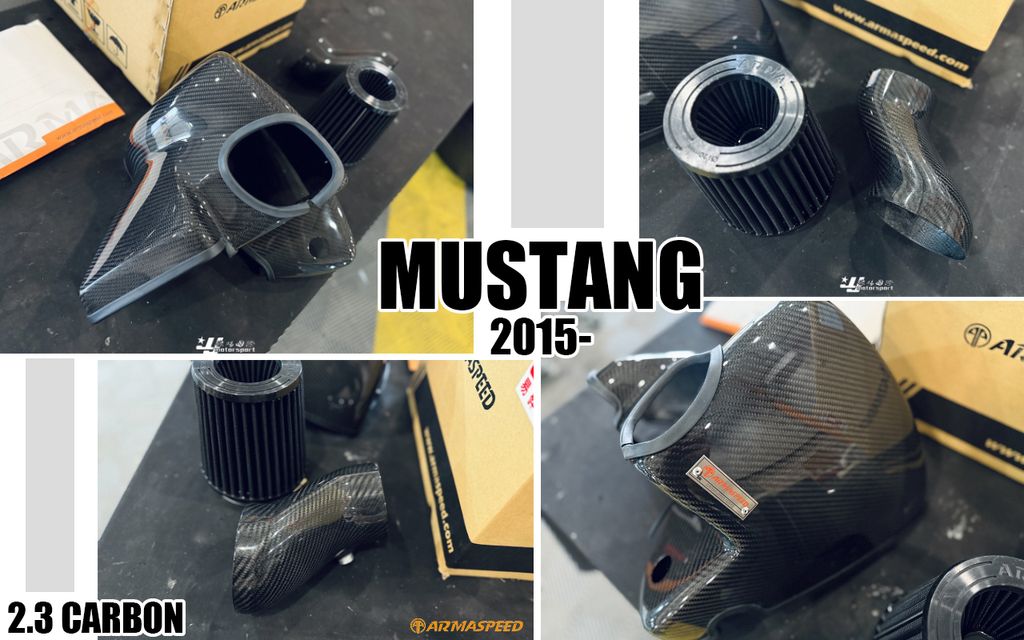 MUSTANG 2015- 2.3 ARMA 碳纖維卡夢進氣套件-2