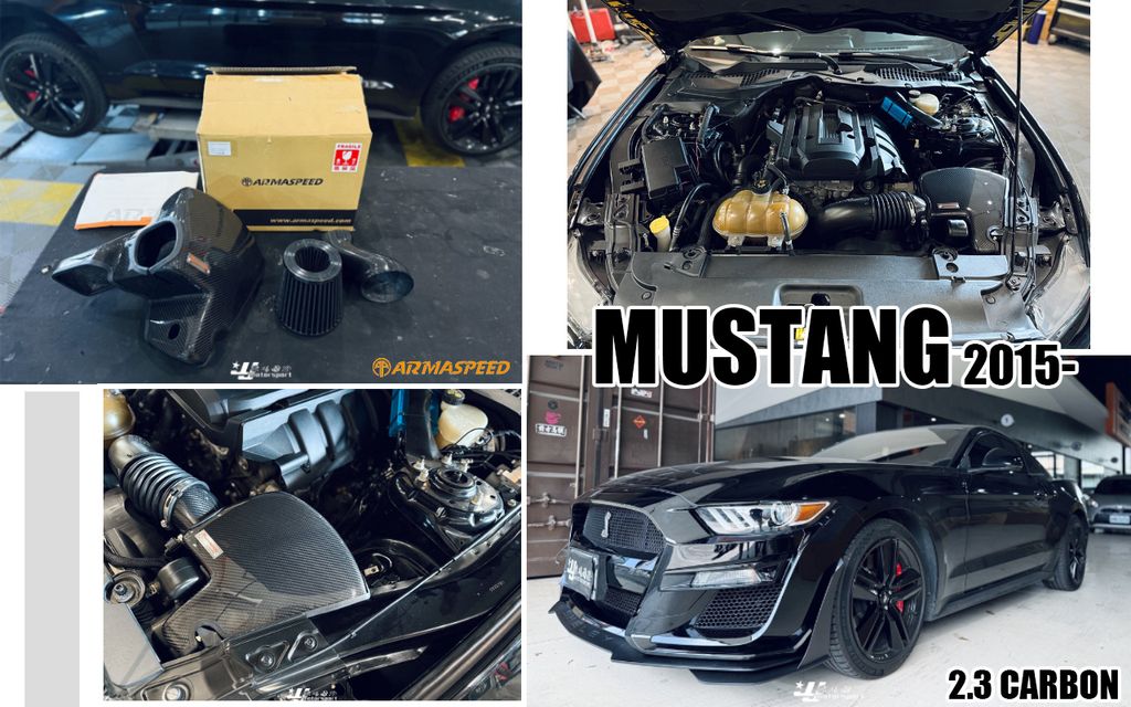 MUSTANG 2015- 2.3 ARMA 碳纖維卡夢進氣套件