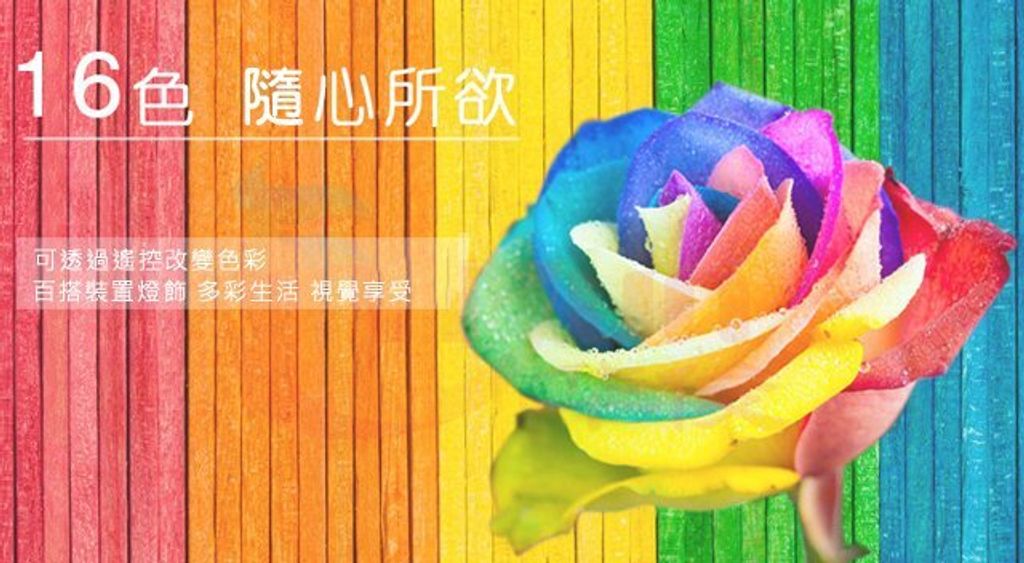 LED搖控器 色彩變化 單一色 多色變化