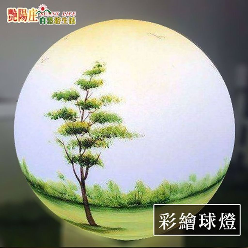 LED 彩繪球燈 圓球燈 發光球燈 戶外球燈 防水球燈