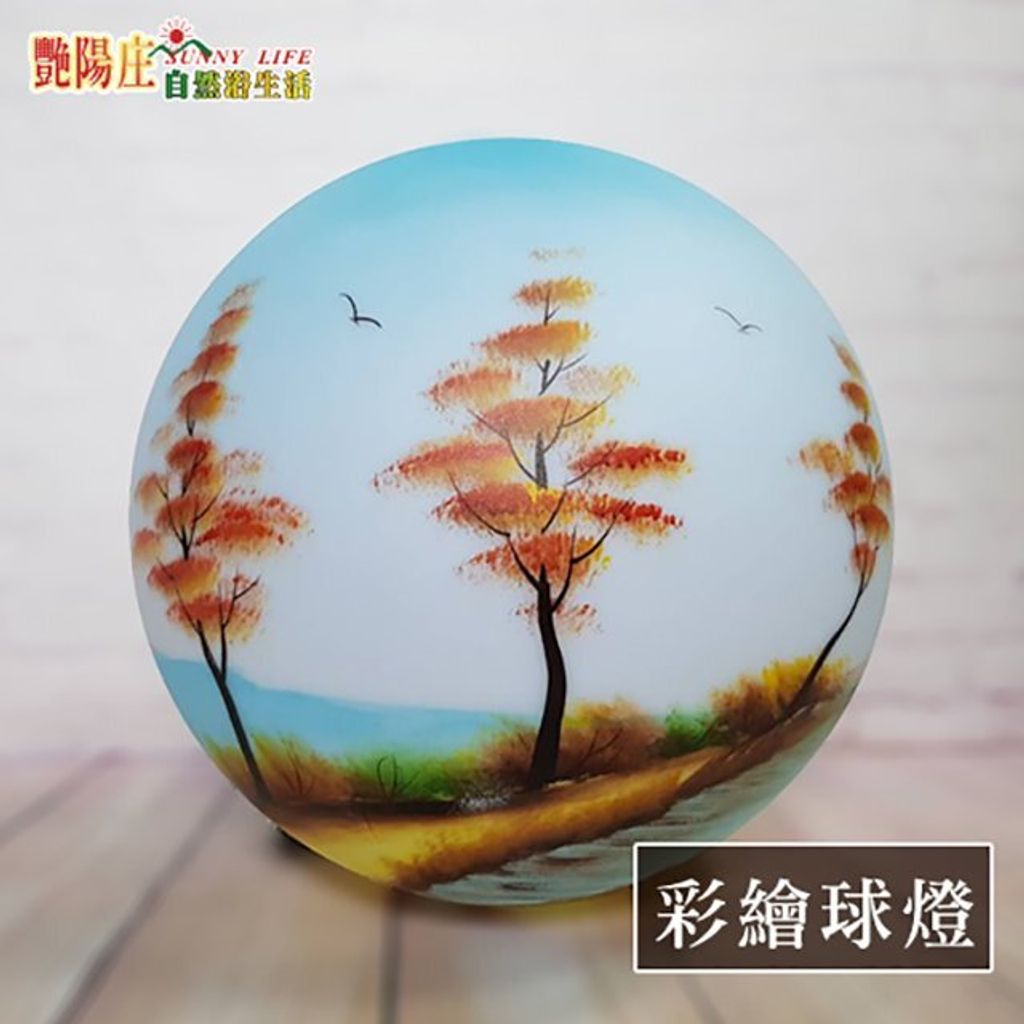 LED 彩繪球燈 圓球燈 LED租借 餐廳裝飾燈 幼兒園造景燈