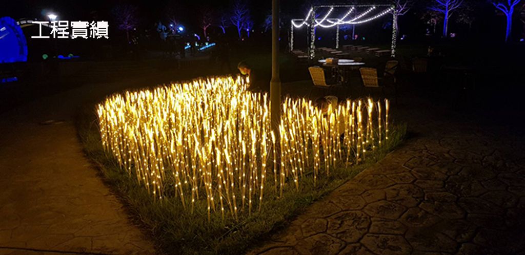 LED插地燈 造型燈飾 聚束燈 裝置藝術 公園裝飾燈