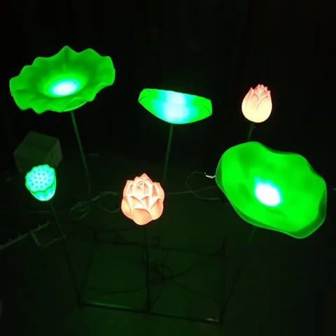 荷花 睡蓮 蓮花