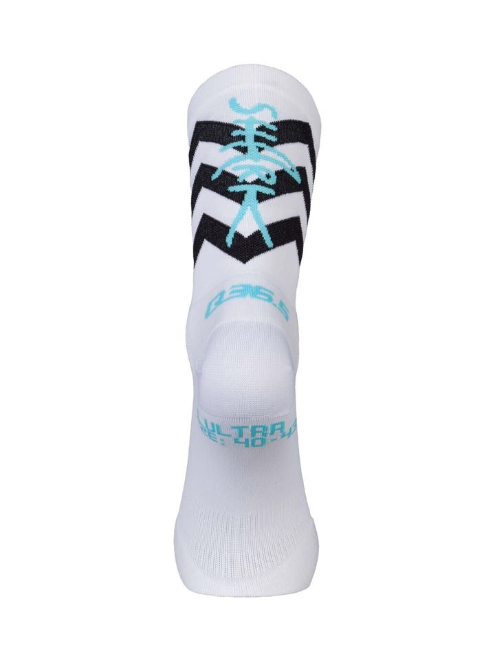 Q2054Shark.5 B