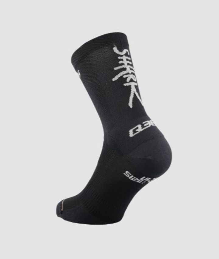 Q2054shark.BK