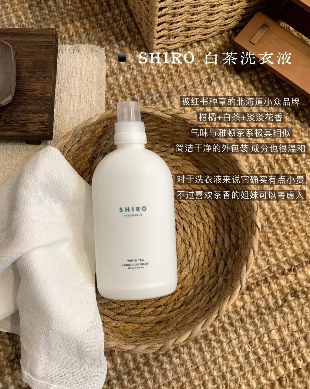 image_BC8511E2-9B92-44C4-A427-48317A838246_1773157706