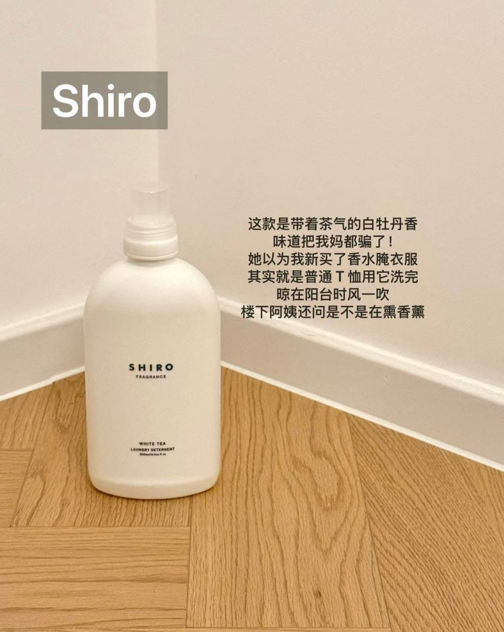 image_1C2E0110-7038-404A-9AA3-B0BE7F2038F3_1773157706