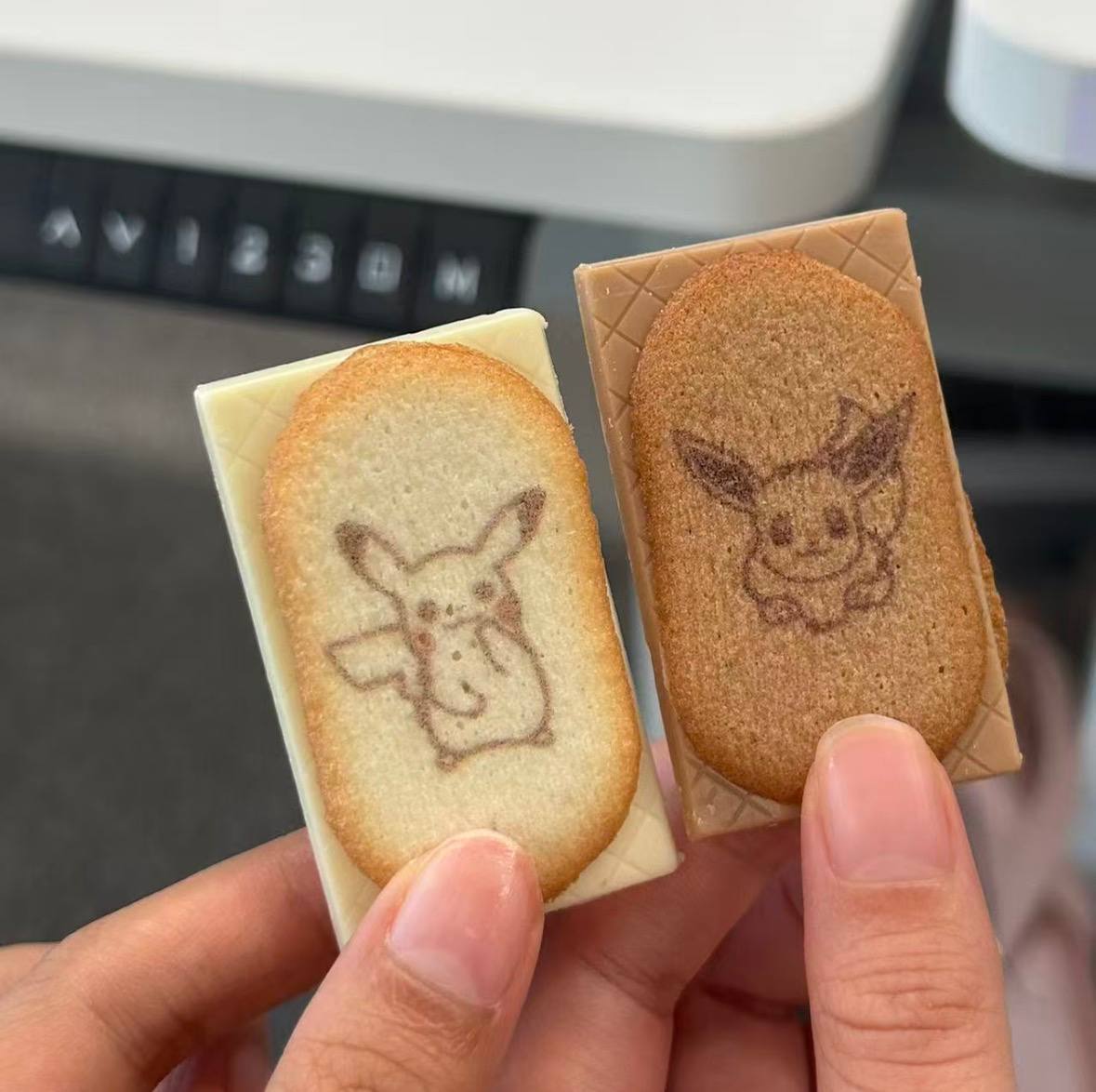 image_8DB457CD-E614-412E-A159-2E5670A16BC5_1773316783