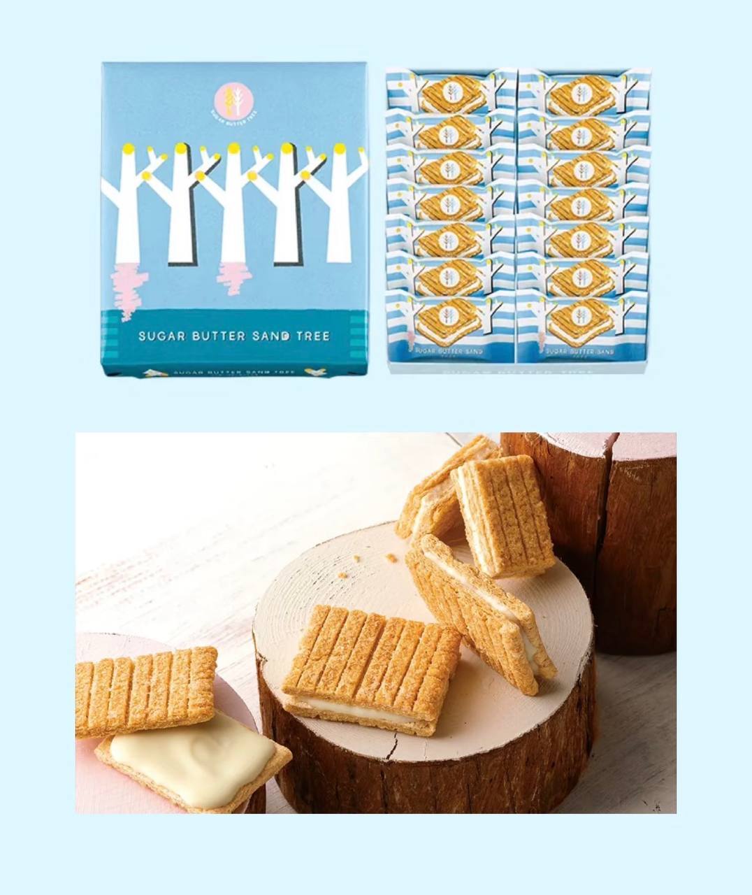 image_B0B06CB5-B2B7-4CCF-8EEE-B36A382361BB_1773319283