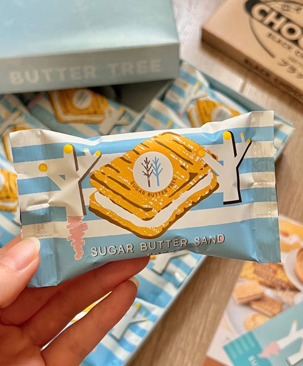 image_2DEEEE11-28A1-474A-8832-2E04A1DBA187_1773319283