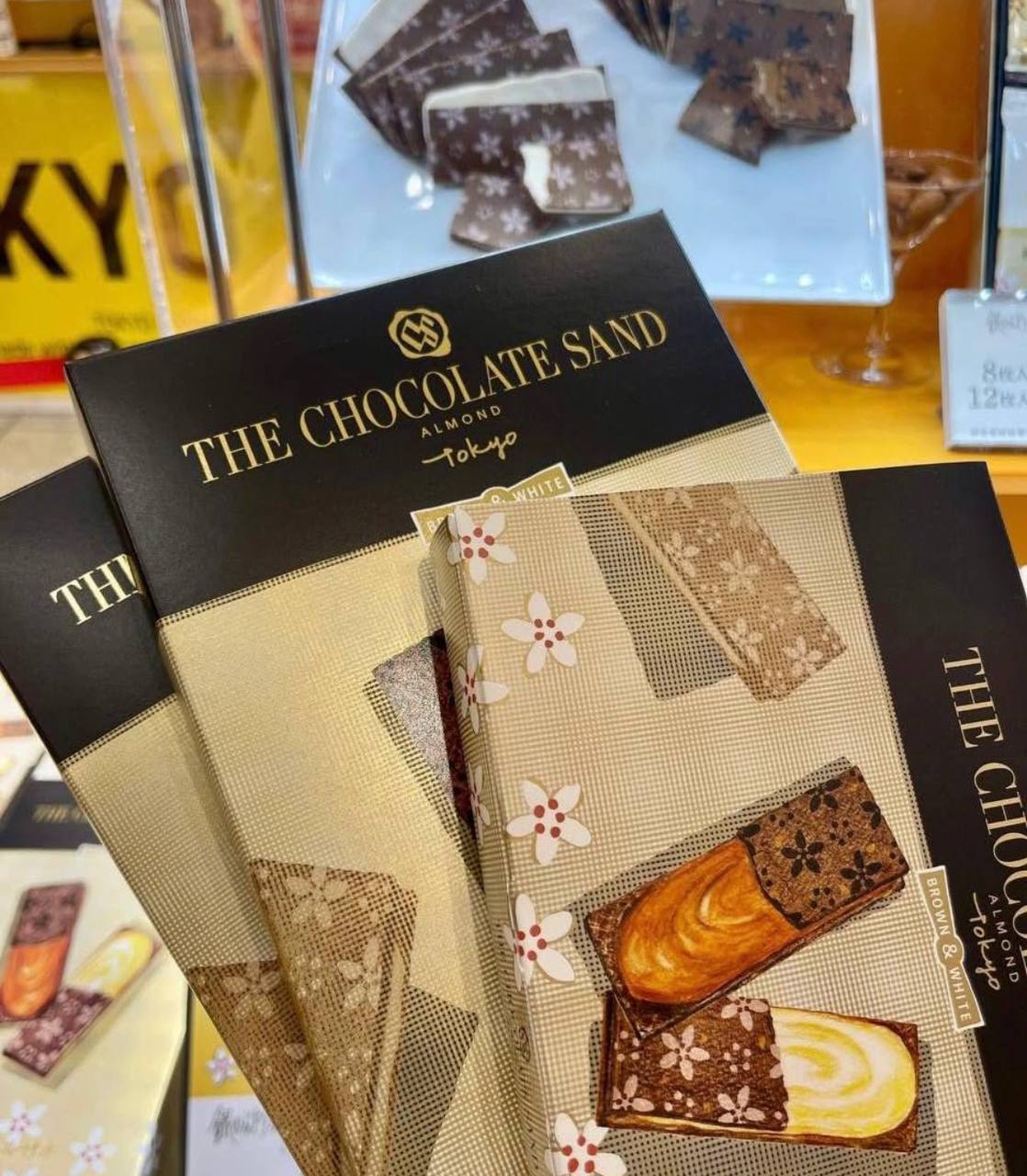 image_80AC14CC-C089-4AA0-8119-22FAE19ED4E0_1773326461