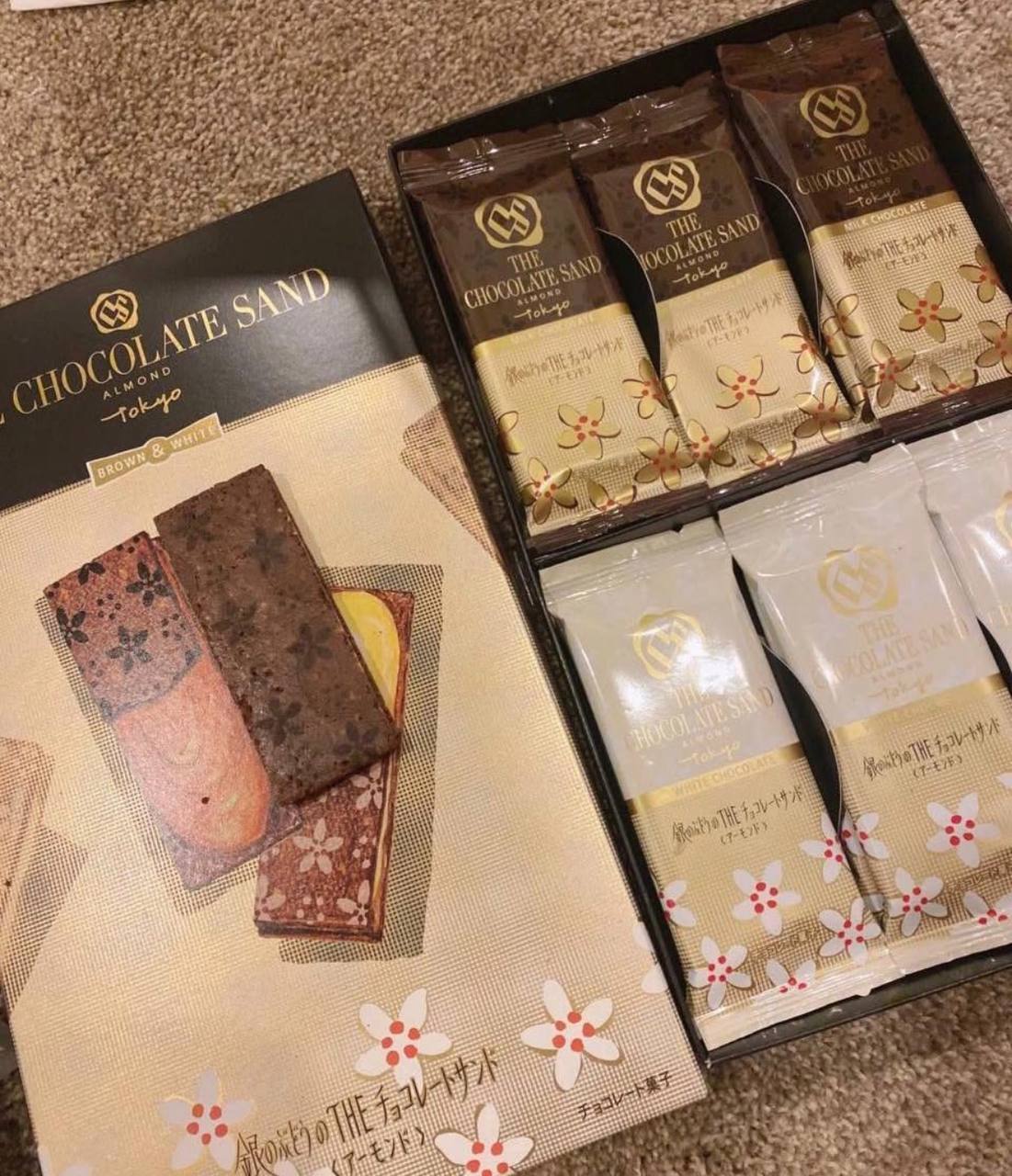 image_E86D1624-0136-4173-B8BB-C07E1D422D84_1773326461