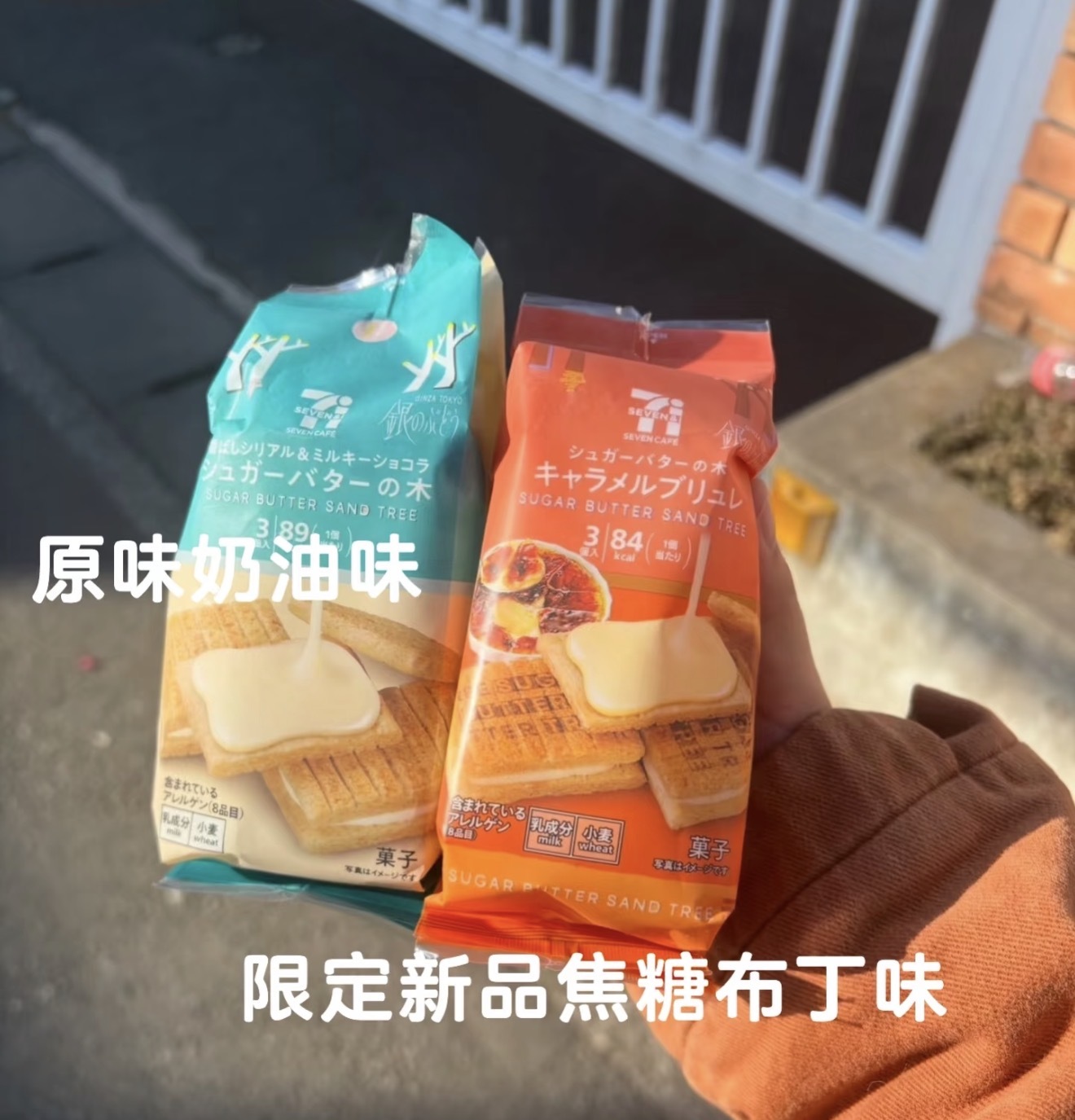 image_B9586CA2-B74F-443C-83A2-19D882556D42_1773388970