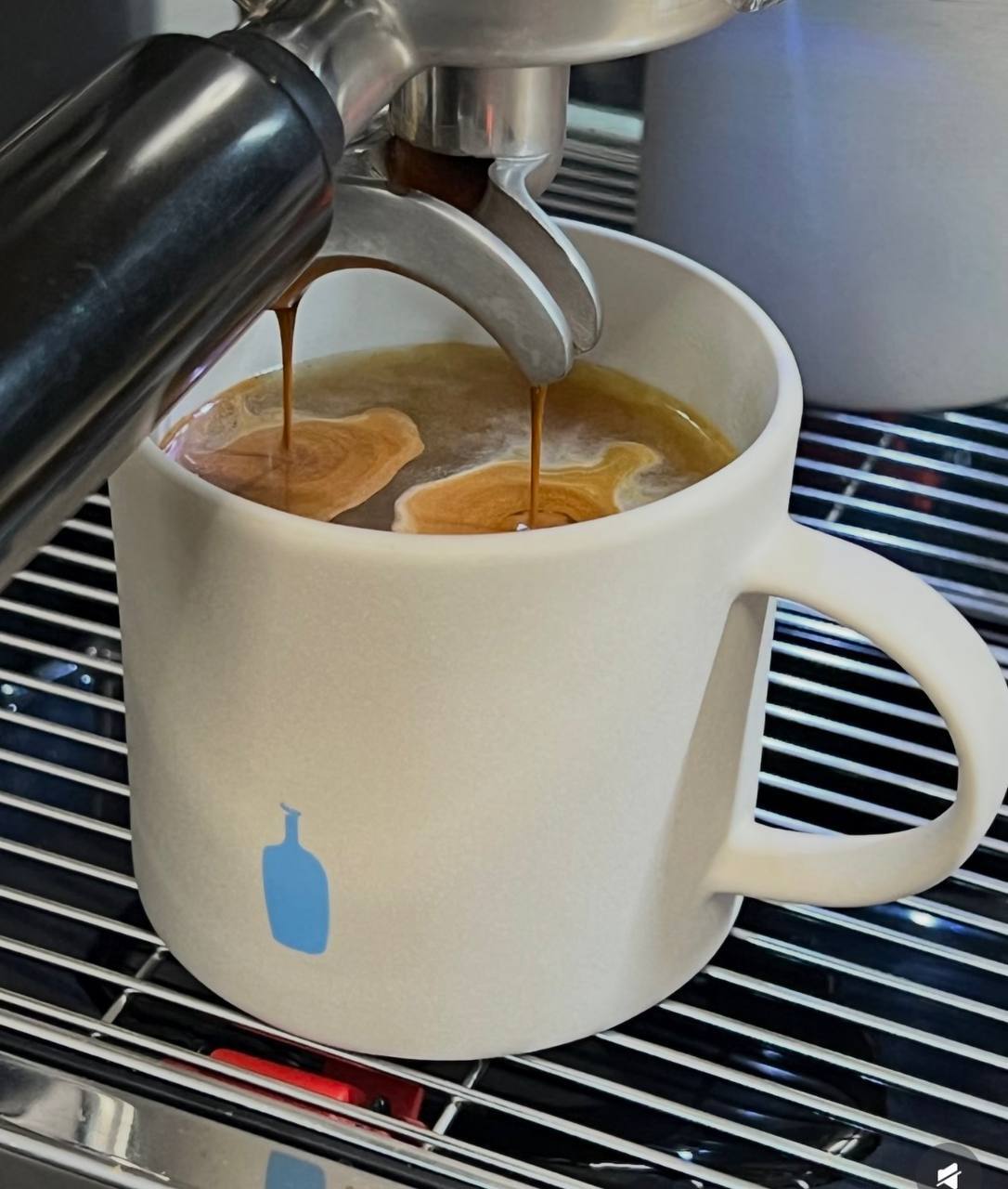 image_E3E2339A-A4E4-4415-9859-C63B21F0227F_1773391053