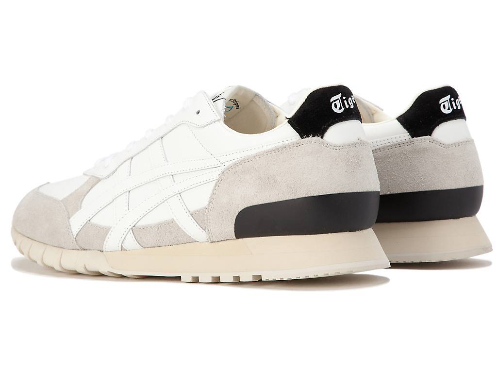 image_BD575DD9-3E06-4809-91F8-04C346DE331F_1773835983