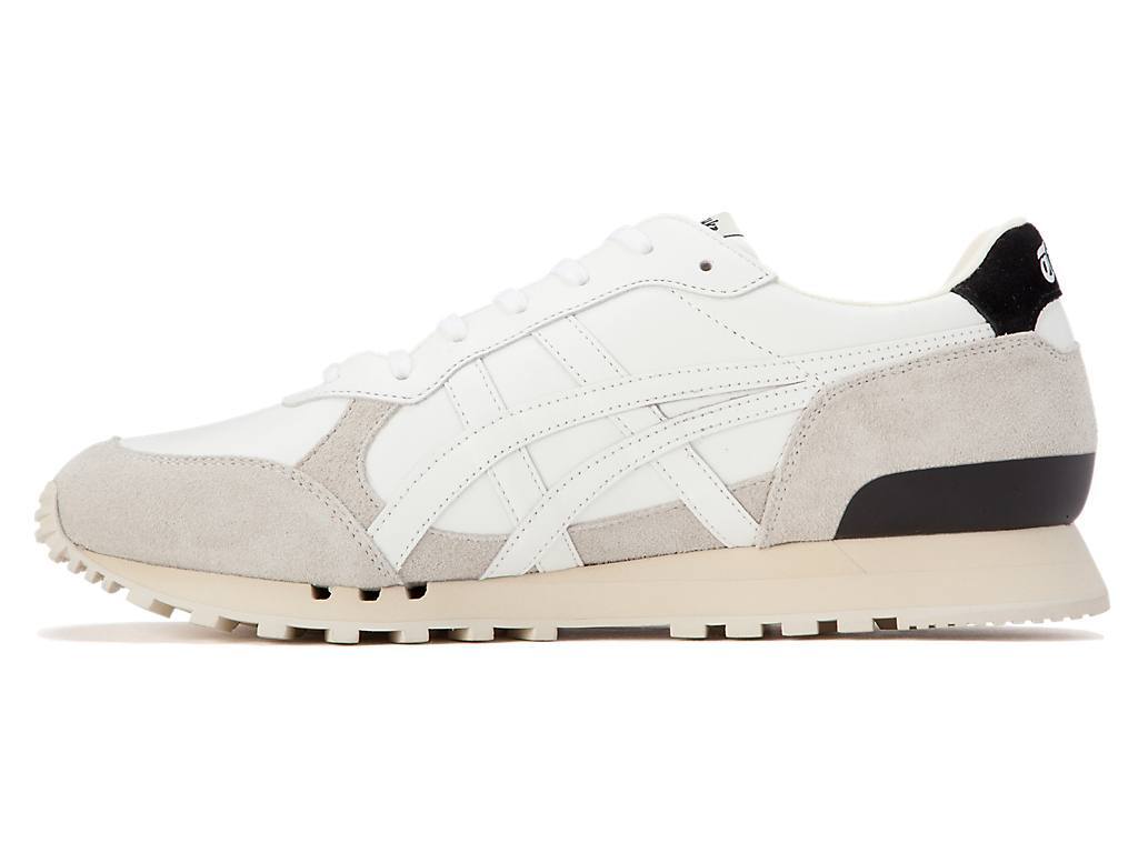 image_02332AB2-1D4A-4CAA-8A9F-439668AF5C7F_1773835983