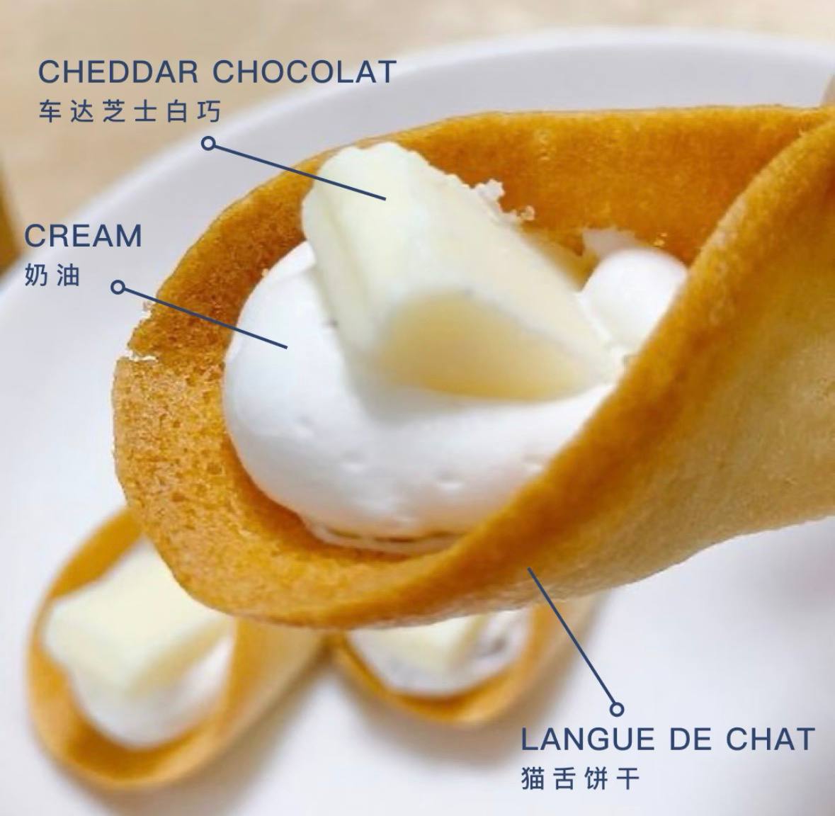 image_610DC76B-2CA2-4184-B87C-F3DE2A839799_1774593393