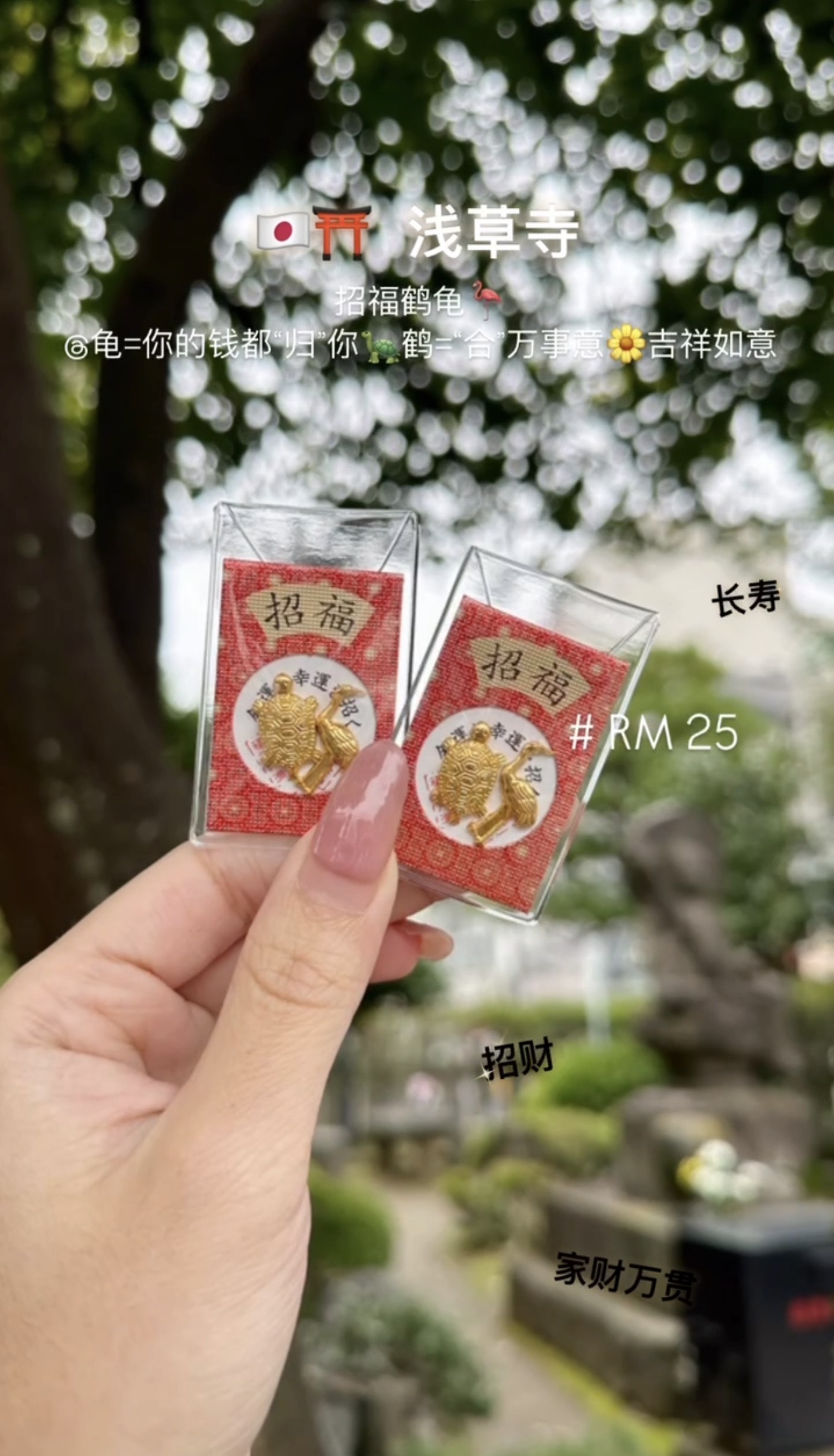 image_44951FE5-DDC6-426F-8D07-D8981986804E_1775038934